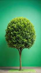 Similar image 22602773