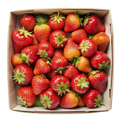 Similar image 22606528