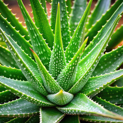 Similar image 22606696