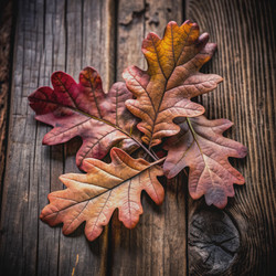 Similar image 22599006