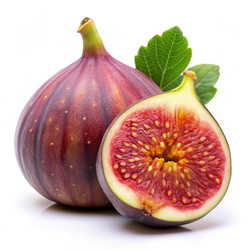 Similar image 22599082