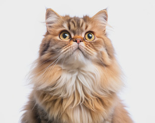 Similar image 22599383