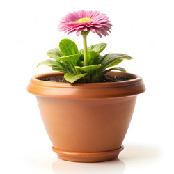 Similar image 22602622