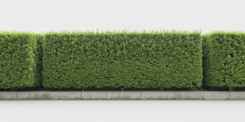 Similar image 22598994