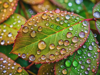 Similar image 22599222