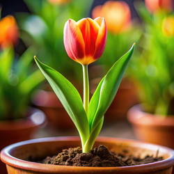 Similar image 22599281