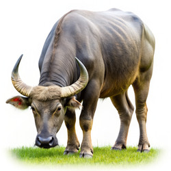 Similar image 22599297