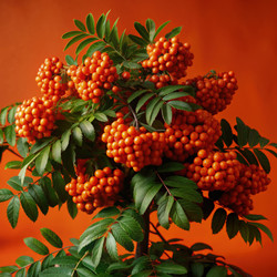 Similar image 22602715