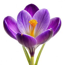 Similar image 22606787