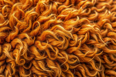 Similar image 22599167