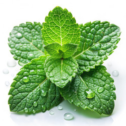 Similar image 22607034