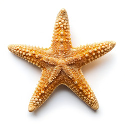 Similar image 22599047