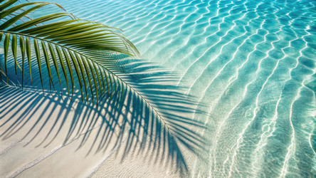 Similar image 22599076