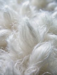 Similar image 22595861