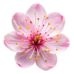 Similar image 22595936