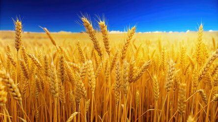 Similar image 22596098