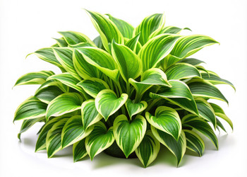 Similar image 22596394