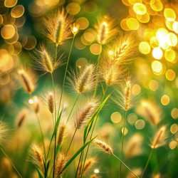 Similar image 22595771