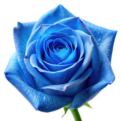 Similar image 22595853