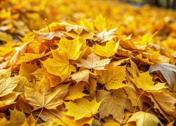 Similar image 22595866