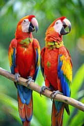 Similar image 22595867