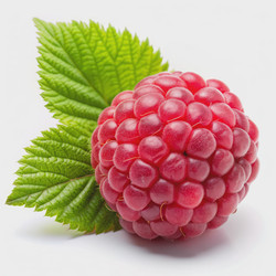 Similar image 22595883