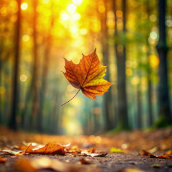 Similar image 22595885