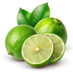 Similar image 22595957