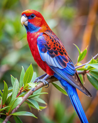 Similar image 22595973