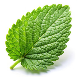 Similar image 22596217