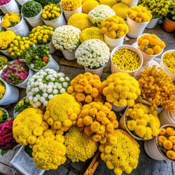 Similar image 22596271