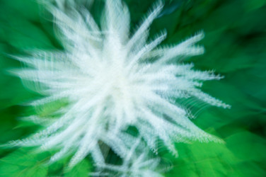 Similar image 22595753