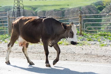 Similar image 22595754