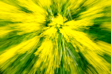 Similar image 22595635