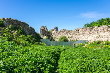 Similar image 22595638