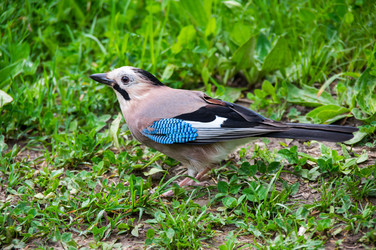 Similar image 22595641