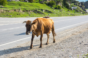 Similar image 22595648