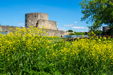 Similar image 22595655