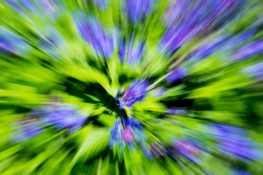 Similar image 22595660