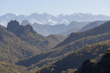 Similar image 22595675