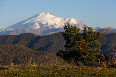 Similar image 22595679