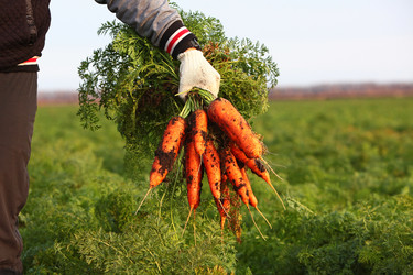 Similar image 22611812