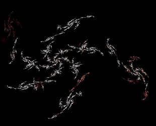 Similar image 22595324