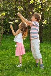 Similar image 22597100