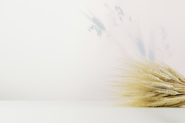 Similar image 22608715