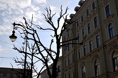 Similar image 22595250