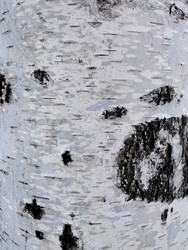 Similar image 22610673