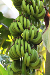 Similar image 22597063