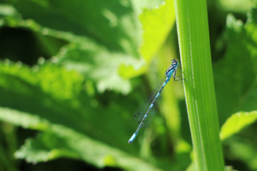 Similar image 22597064