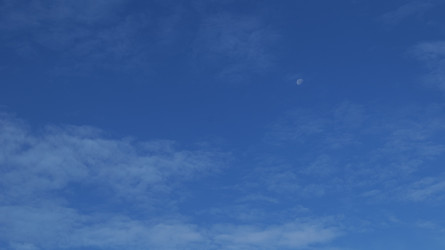 Similar image 22600205